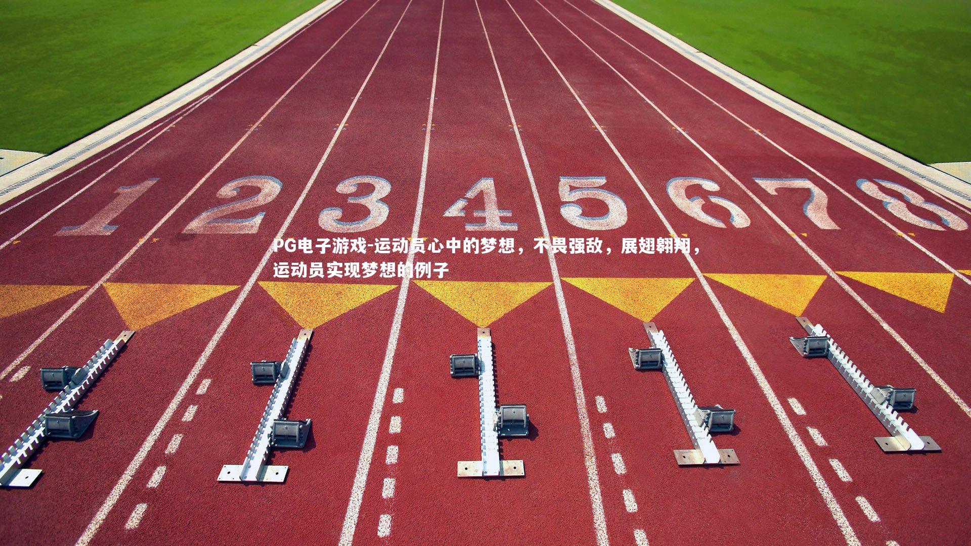 运动员心中的梦想，不畏强敌，展翅翱翔，运动员实现梦想的例子